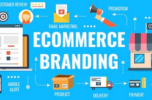 eCommerce Web Design Woolwich (020)